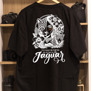 Inicio mock jaguar 5